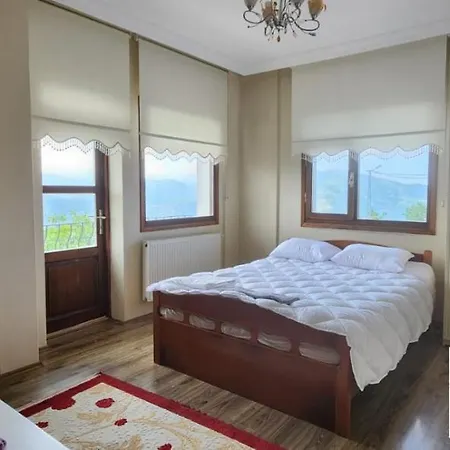 Trabzon Villa *