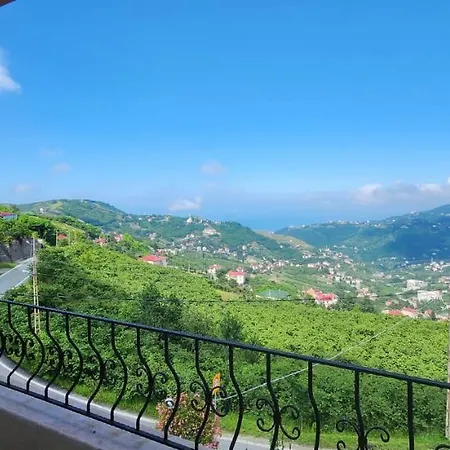 Trabzon Villa Hotel Trabzon